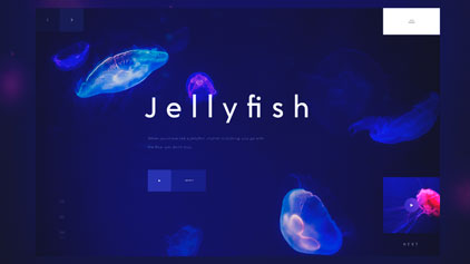 Бесплатный дизайн-макет Jellyfish для adobe XD